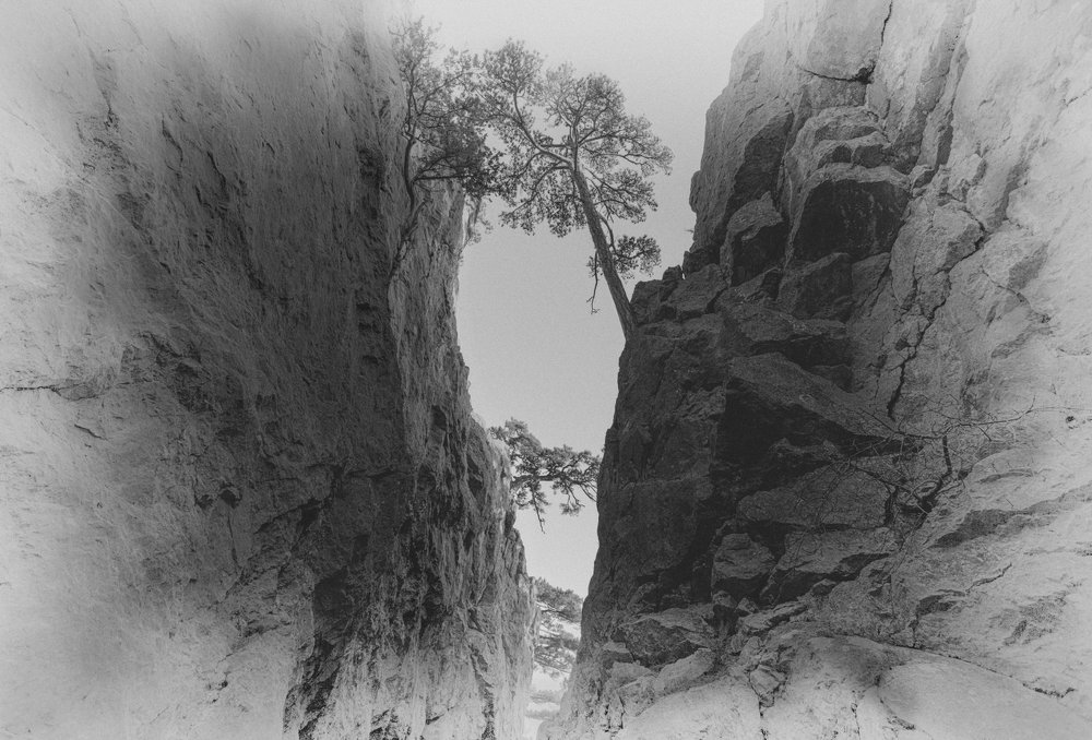 Бабочка прилетела