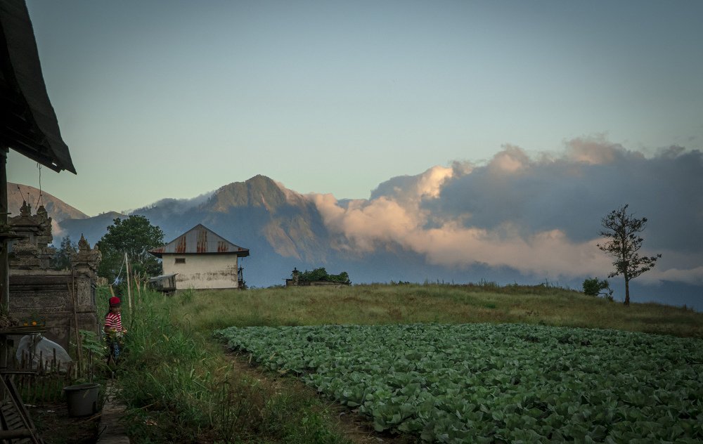 Photograph by Denis Serafimovich