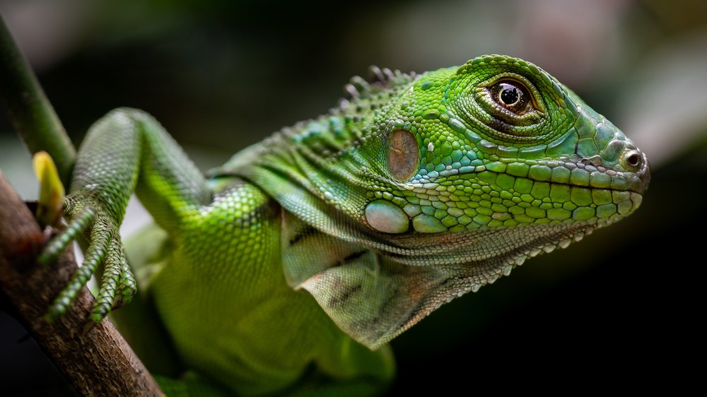 Photograph by Nestor Monsalve