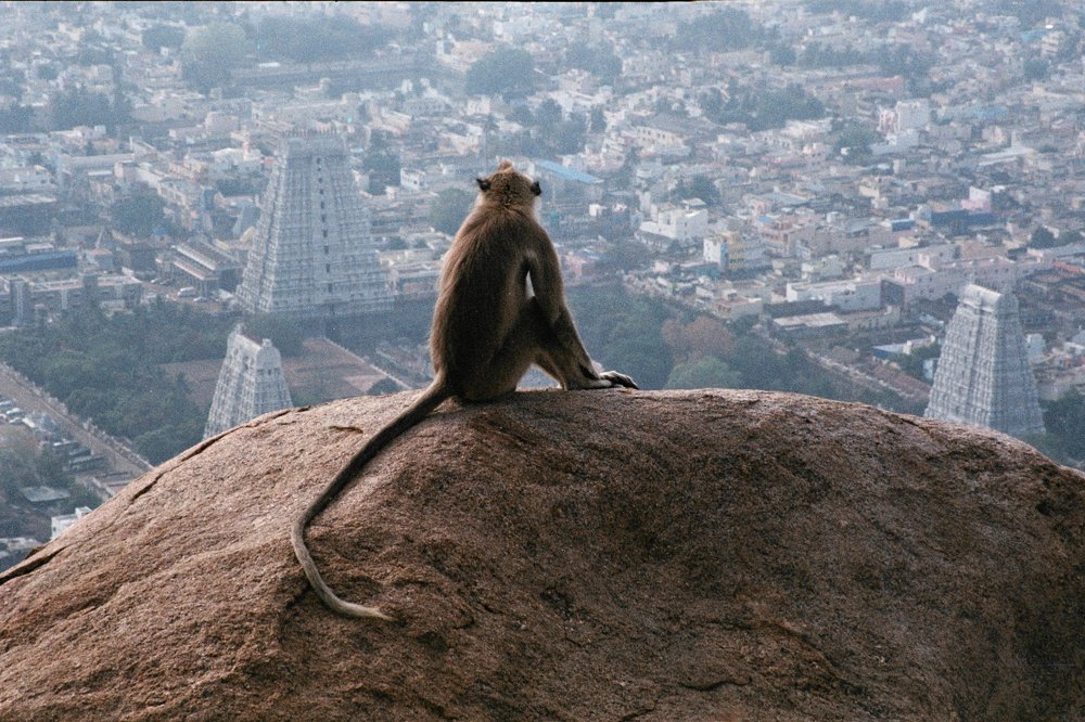 Photograph by Denis Serafimovich