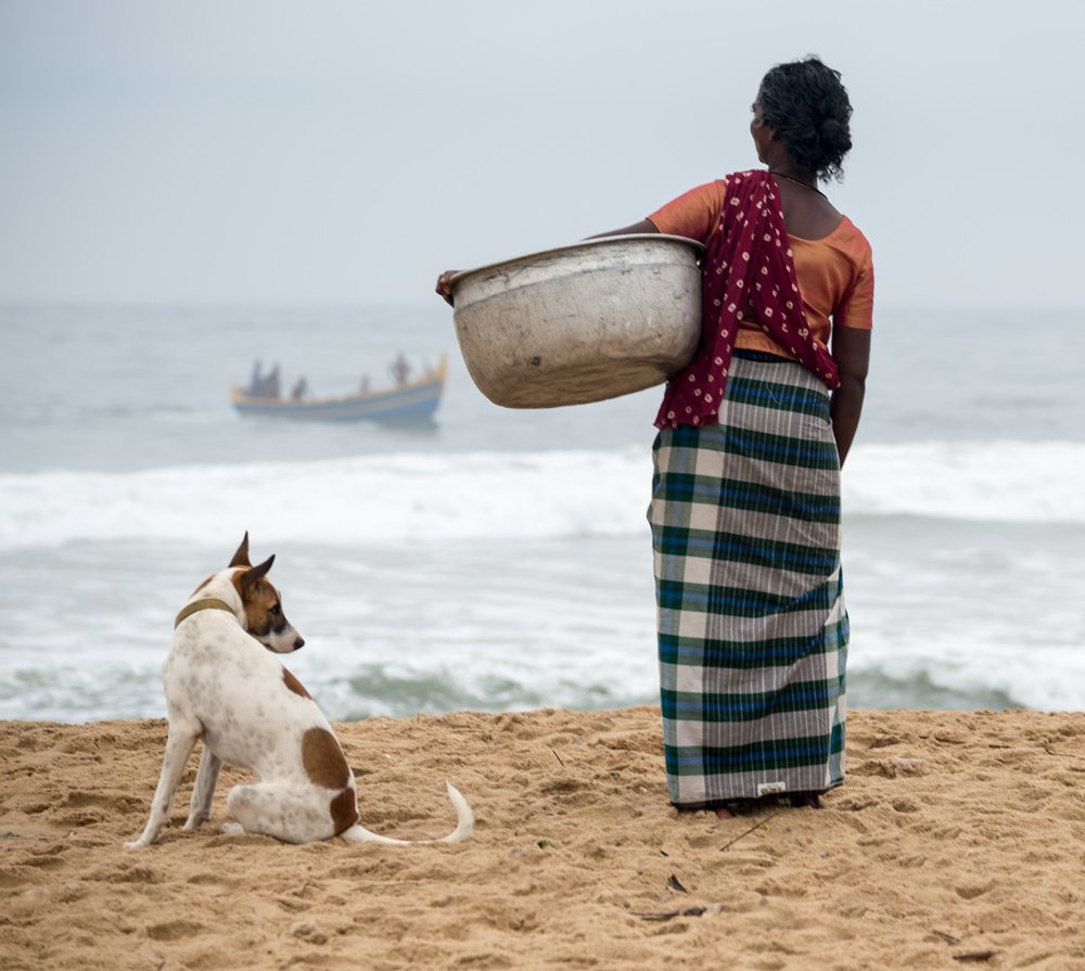 Фотография автора Людмила Прокофьева