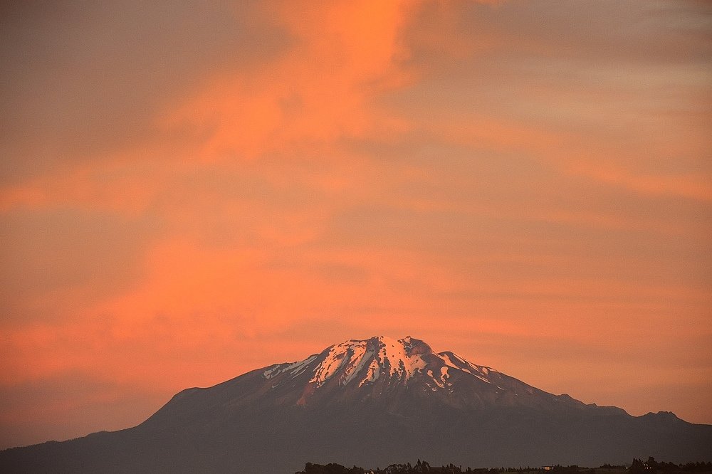 Photograph by Carlos Barría