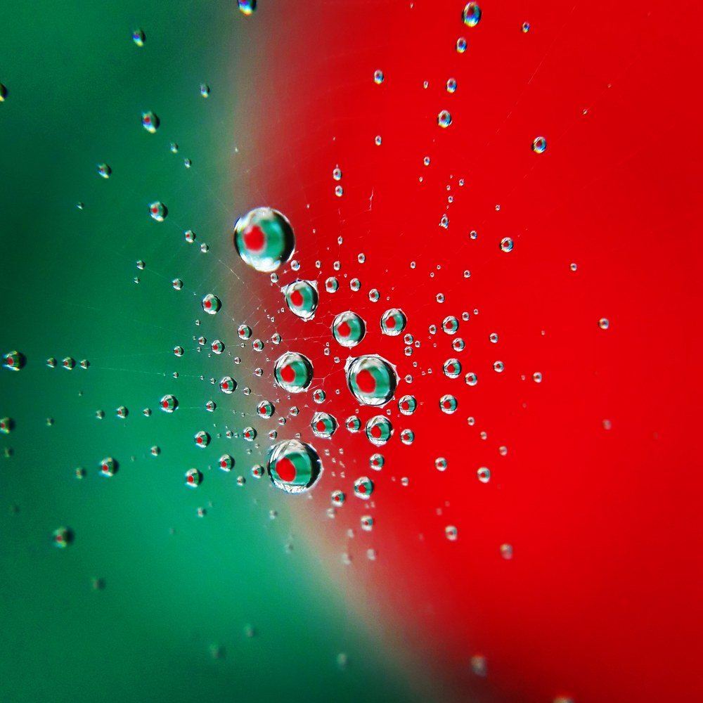 Reflection of National Flag.