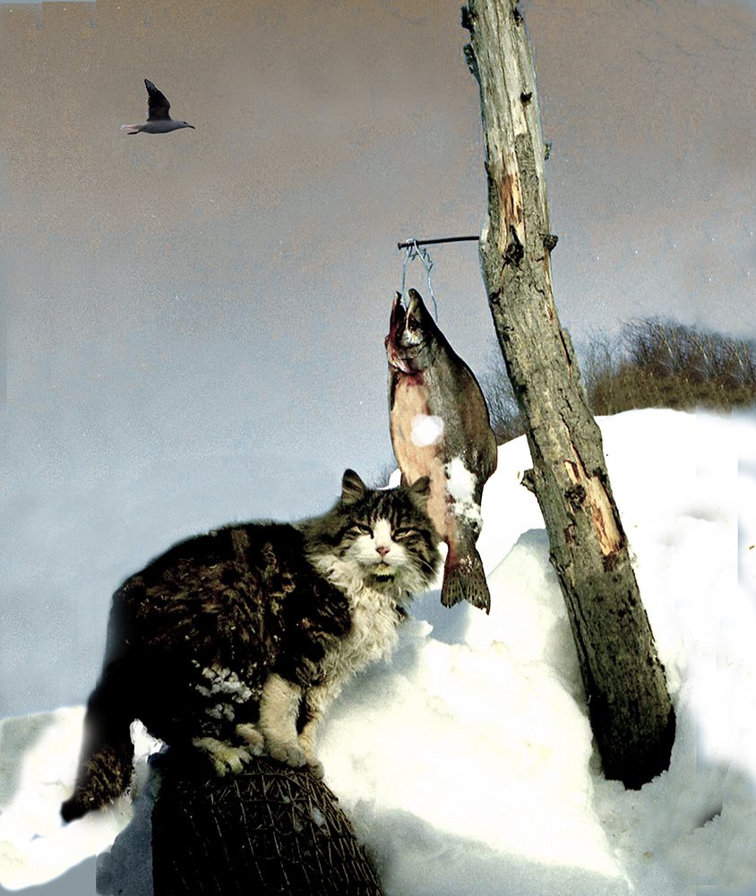 Пушистый рыболов