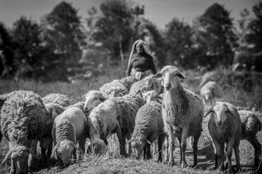 Photograph by Hasin Maharjan