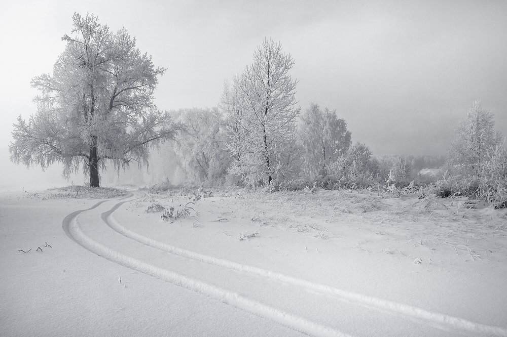 Photograph by Олег Тетерин