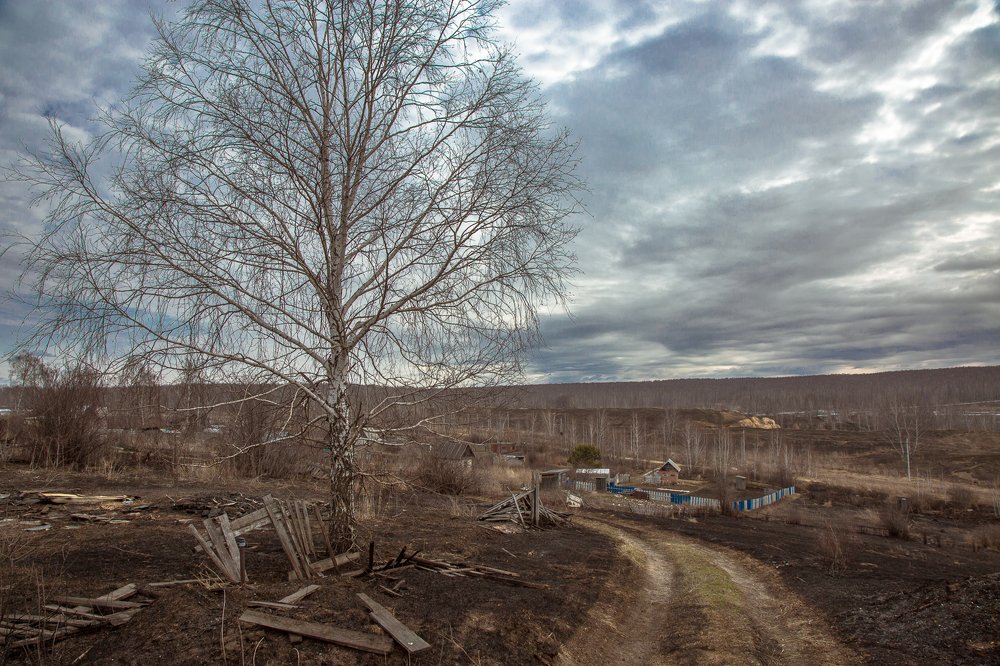 Photograph by Alex Dushutin