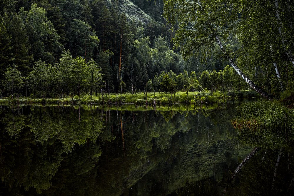 Photograph by Константин шумский