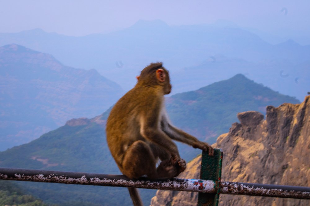 Photograph by Kandarp Mehta