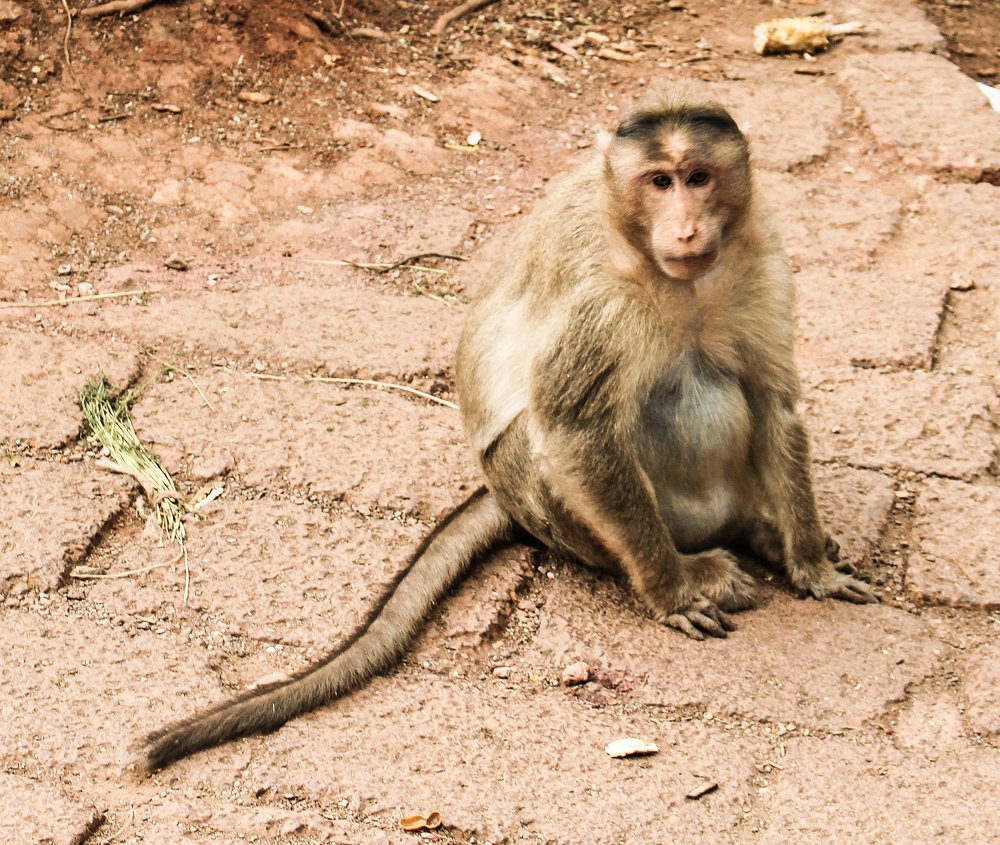 Photograph by Kandarp Mehta