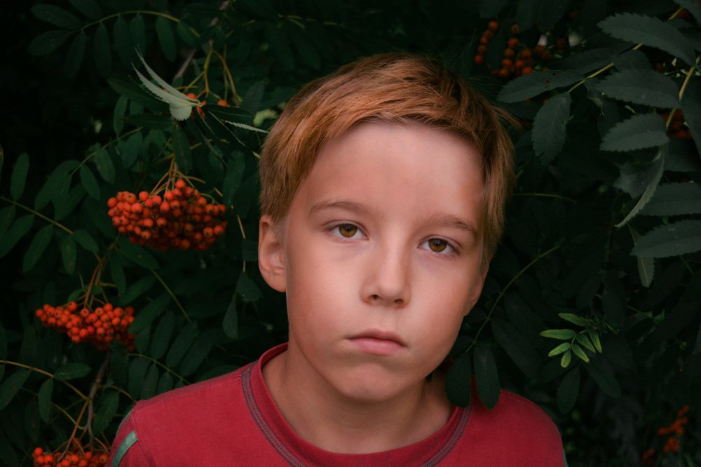 Photograph by Михаил Глазырин