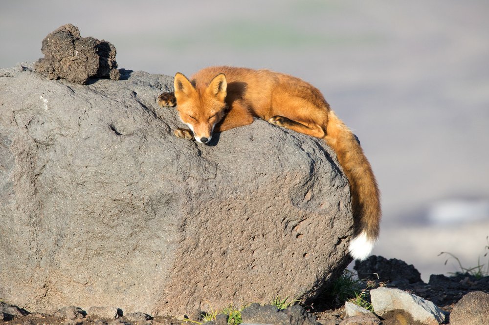 Photograph by Надежда Хаустова