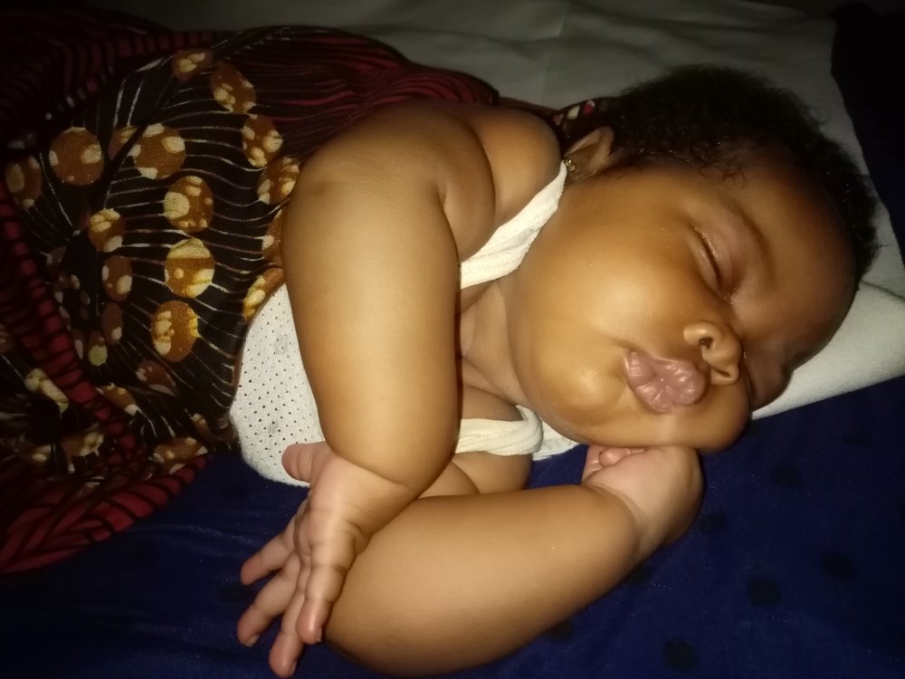 Photo #4097235