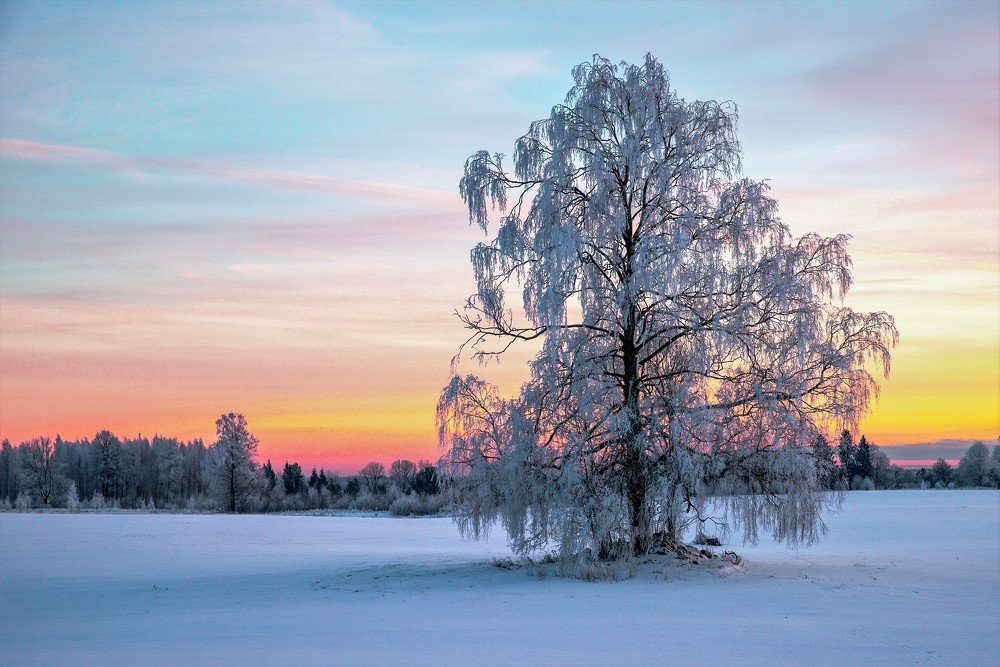 Photograph by Ingrida Skuja