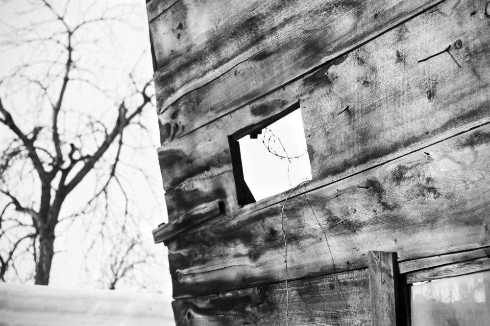 Photograph by Кристина Эйнер