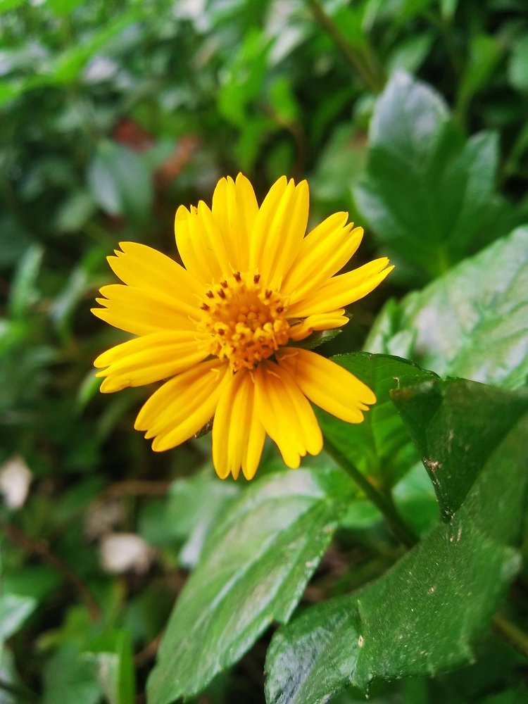 Photograph by Tamzidul Islam