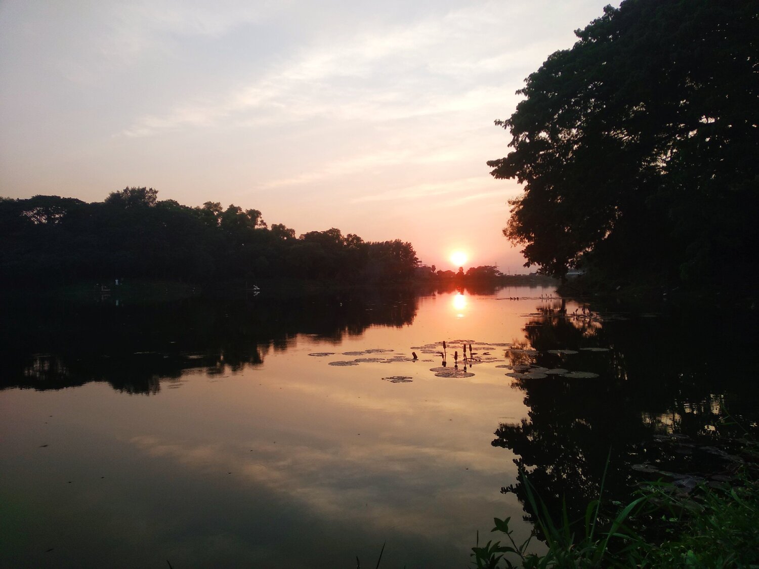 Photo #4097490