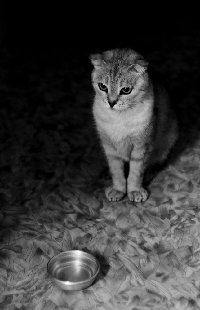 Photograph by Кристина Эйнер