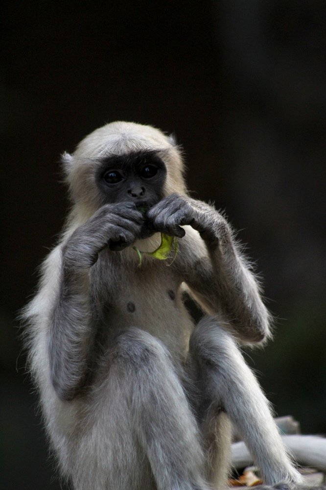 Photograph by Atul mehta