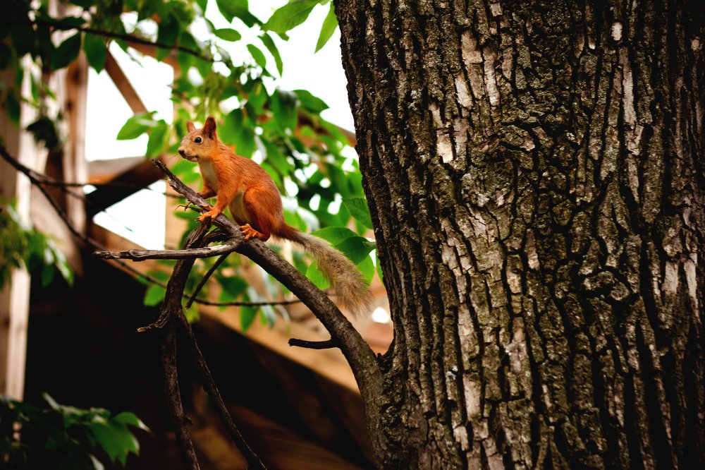 Photograph by Кристина Эйнер