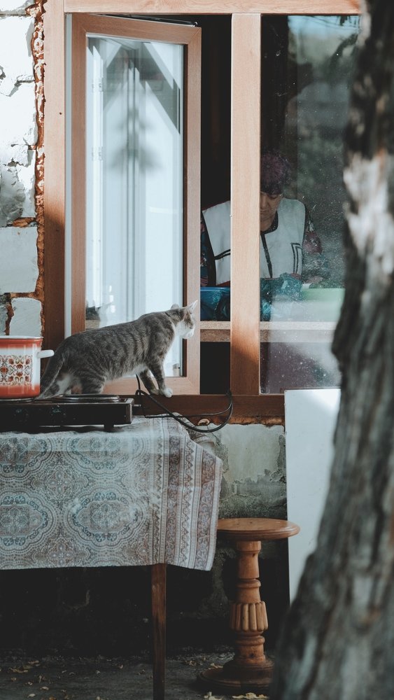 Photograph by Алина Сопова