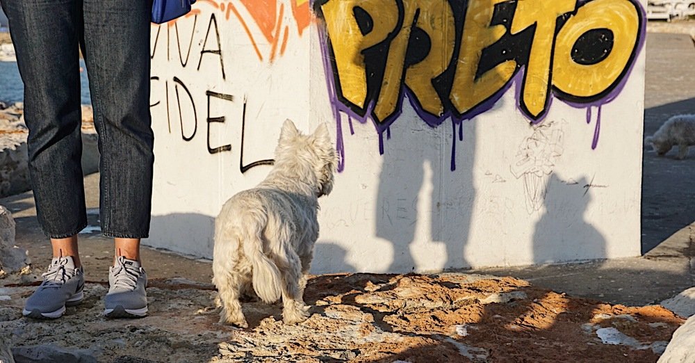 Photograph by Сергей Дубровский