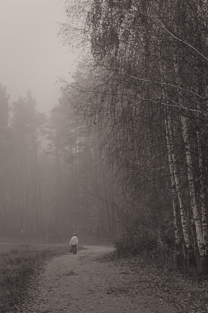 Photograph by Евгений Козлов