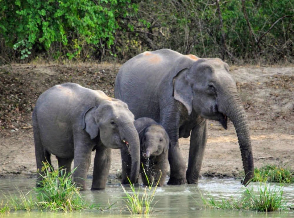 Photograph by Marine Sukiasyan