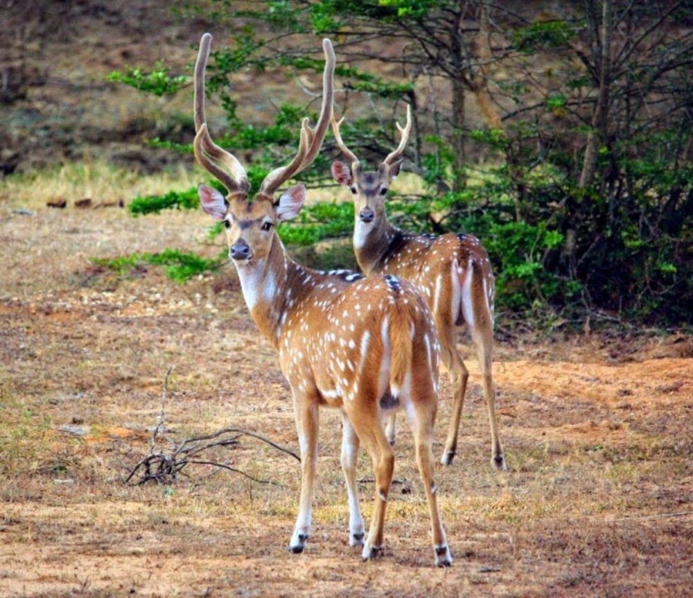 Photograph by Marine Sukiasyan