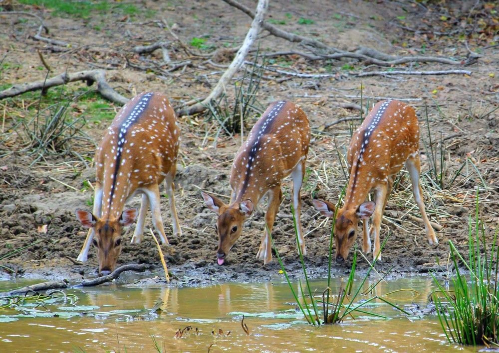 Photograph by Marine Sukiasyan