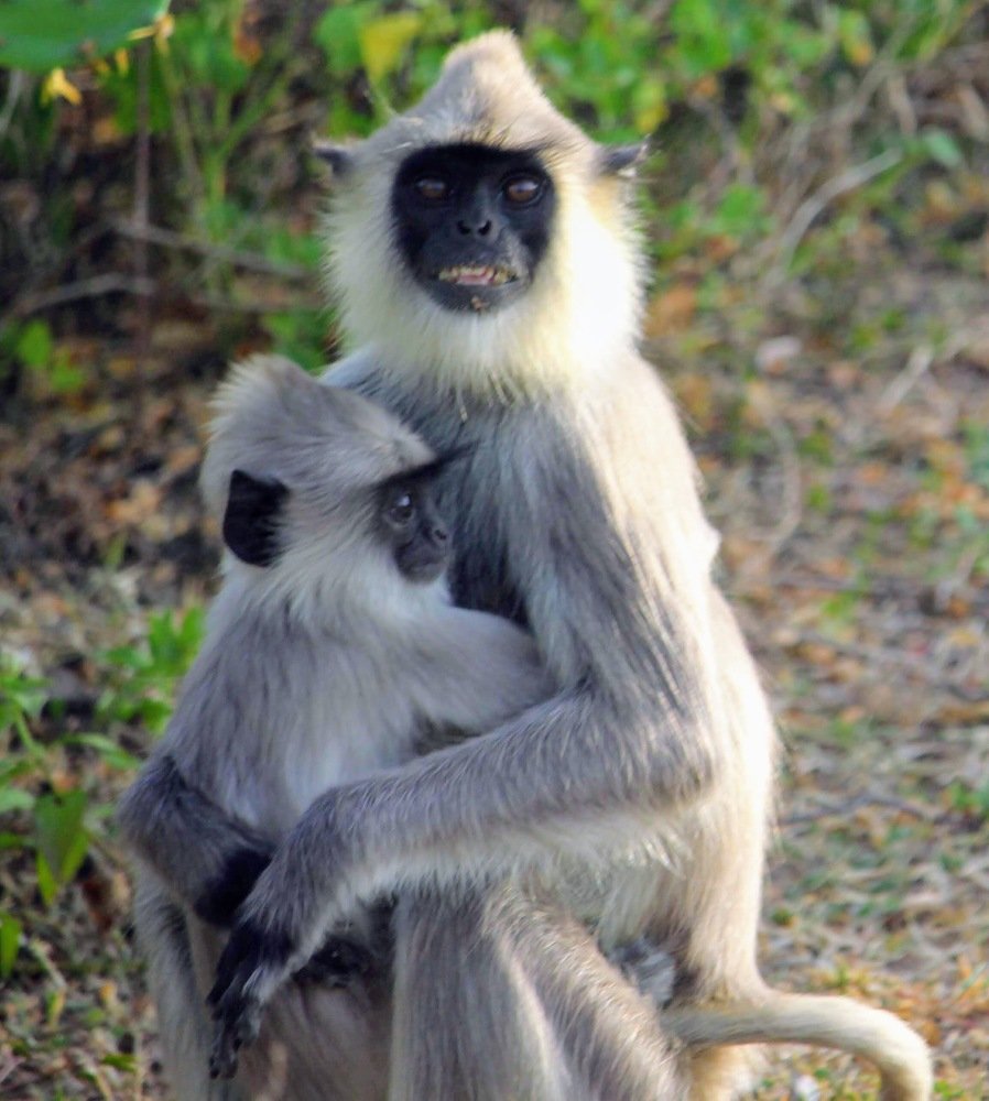 Photograph by Marine Sukiasyan