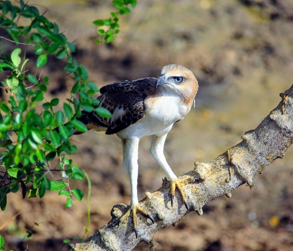 Photograph by Marine Sukiasyan