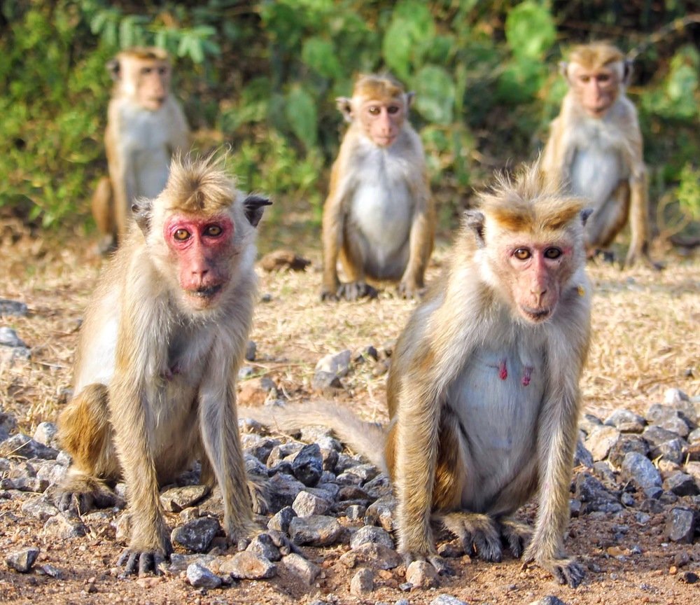 Photograph by Marine Sukiasyan