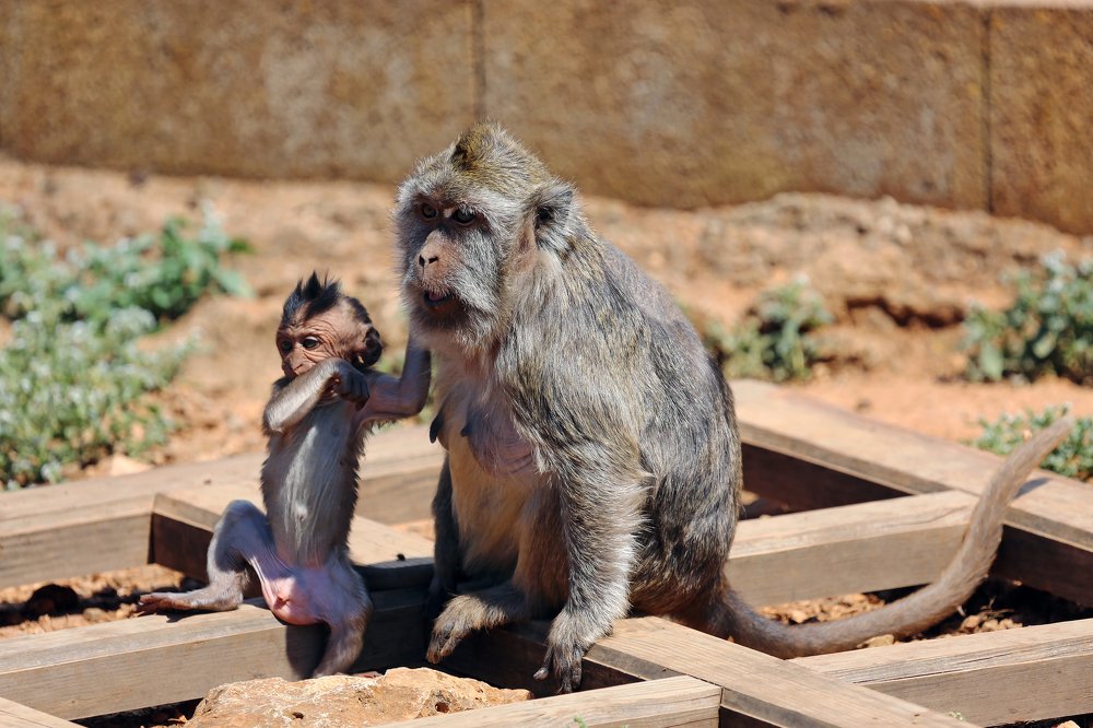 Photograph by Александр Цабель