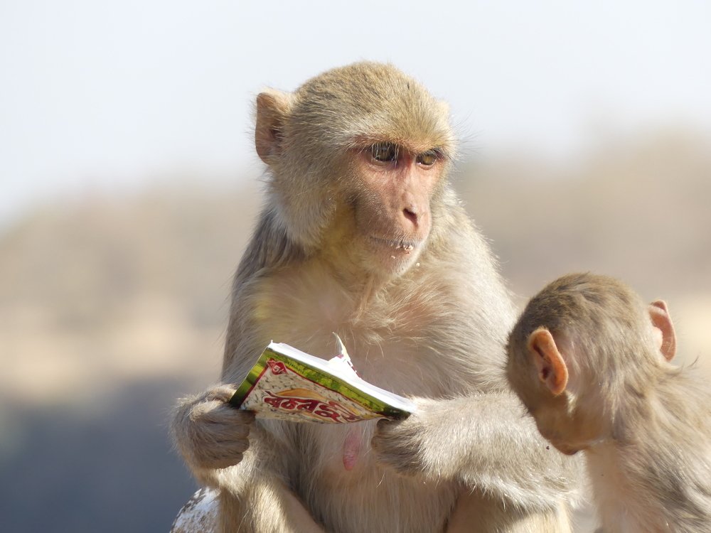 Photograph by Jayesh Vaze