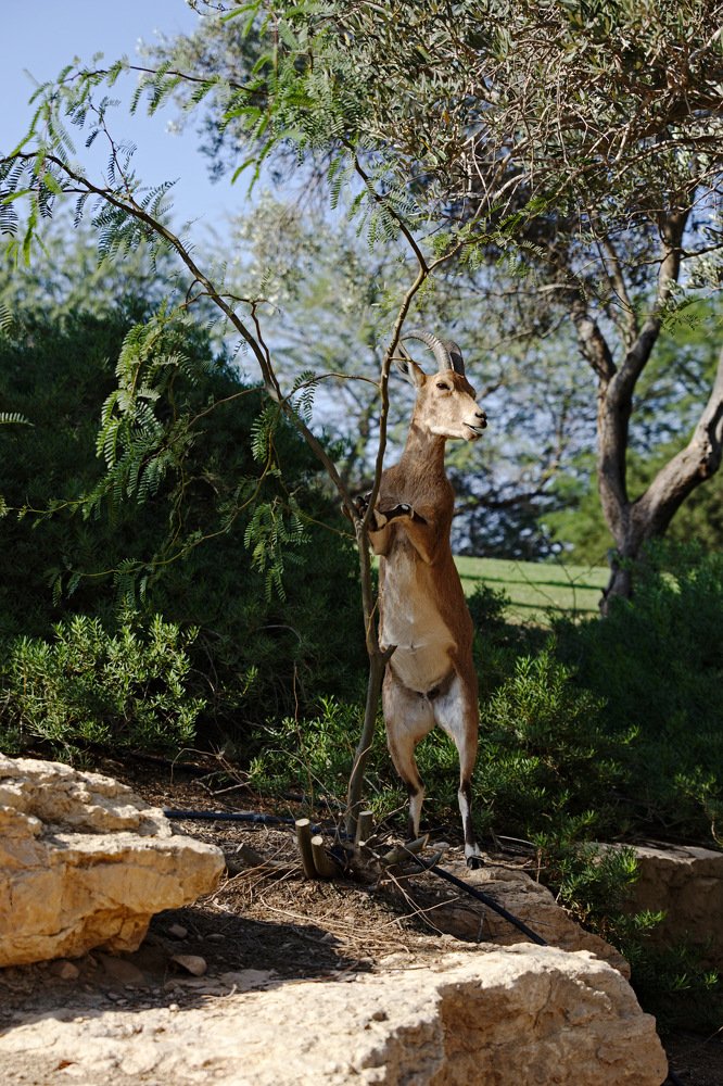 Photograph by Алексей Колоти