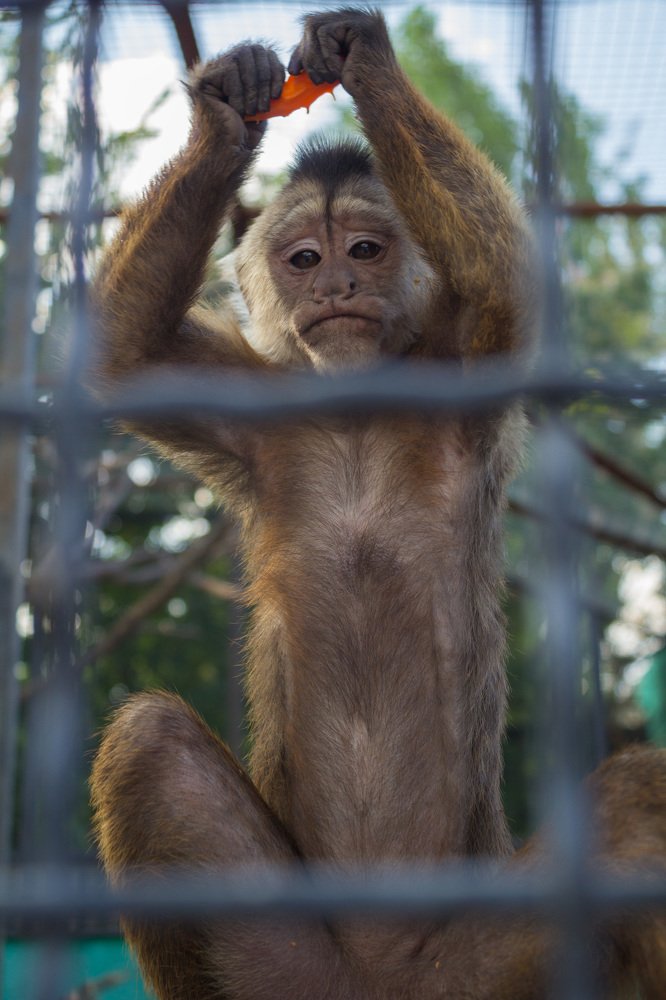 Photograph by Любовь Головина