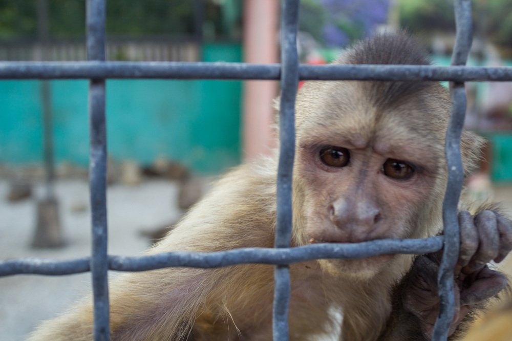 Photograph by Любовь Головина