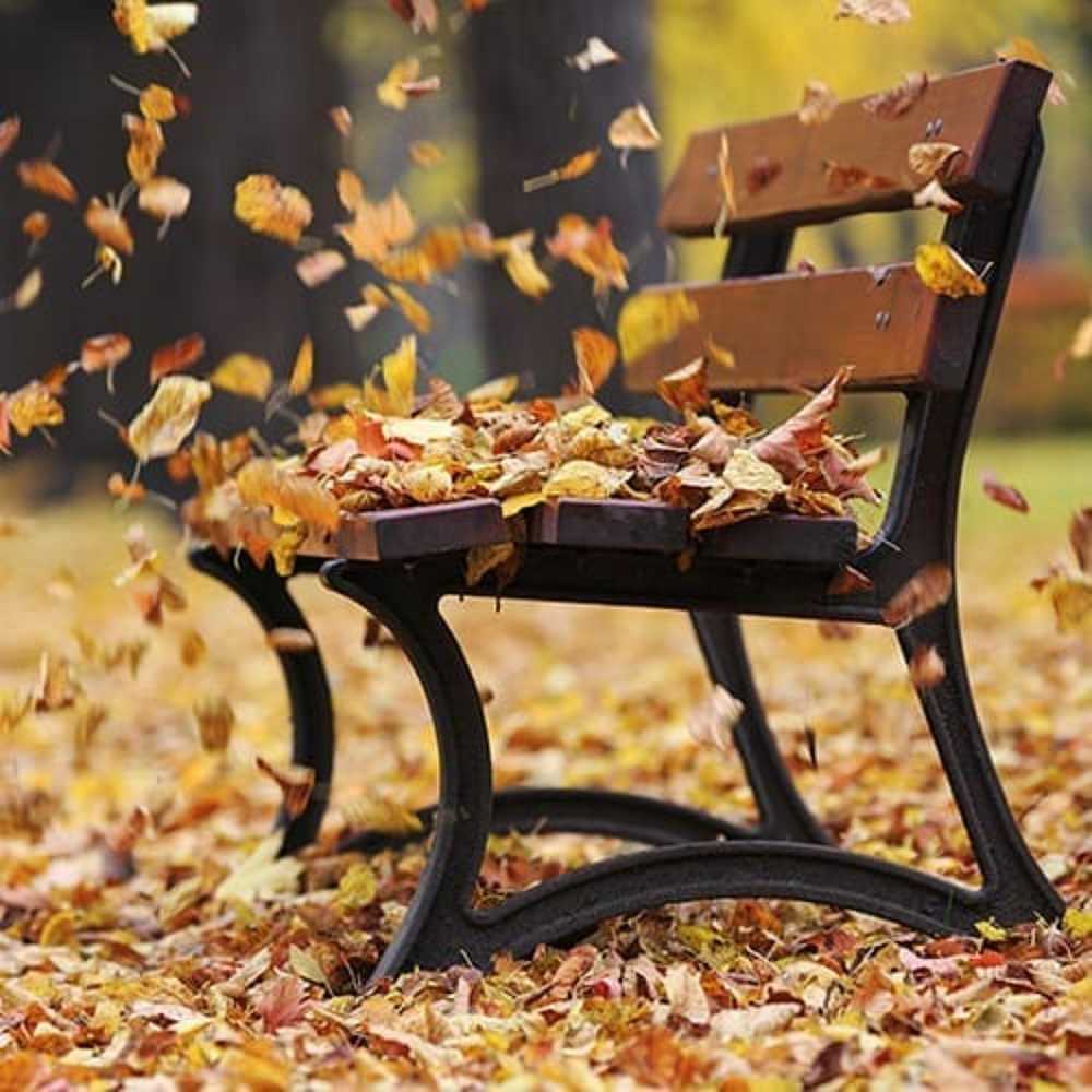 Photograph by Юрий Чебышев