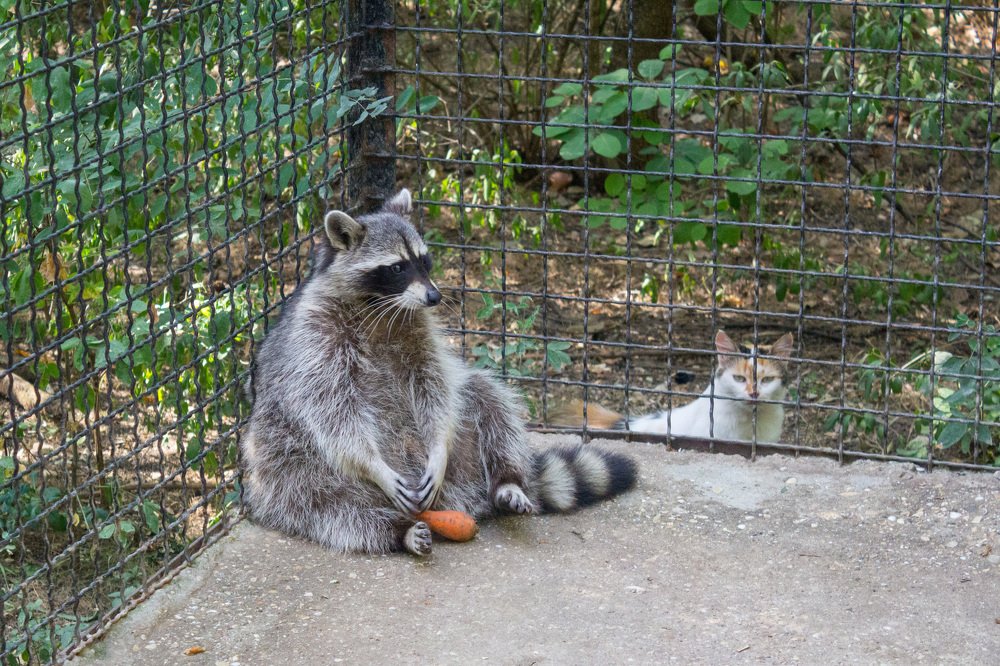 Photograph by Любовь Головина