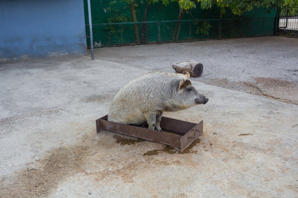 Photograph by Любовь Головина