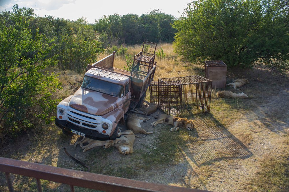 Photograph by Любовь Головина