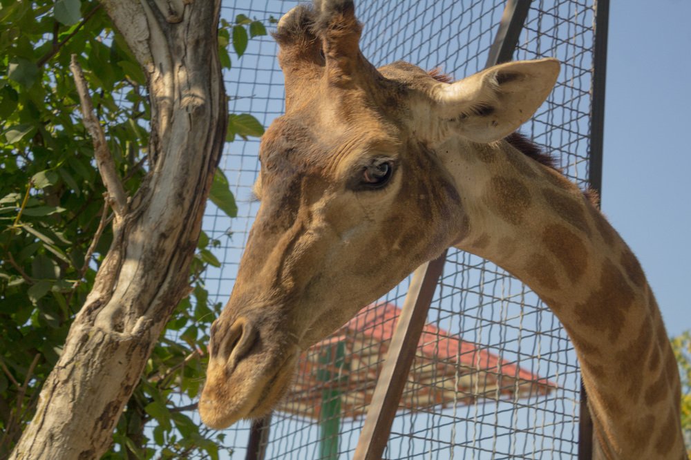 Photograph by Любовь Головина