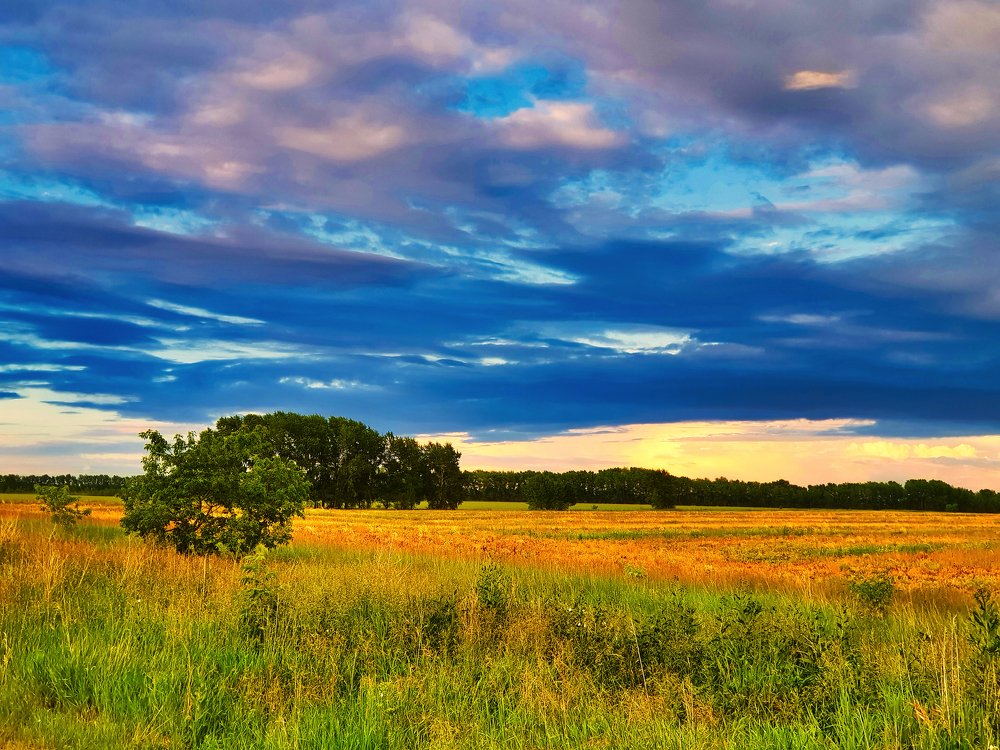 An evening in the fields