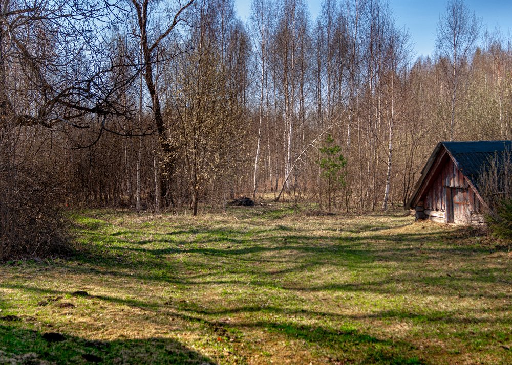 Фотография автора владимир шаронов