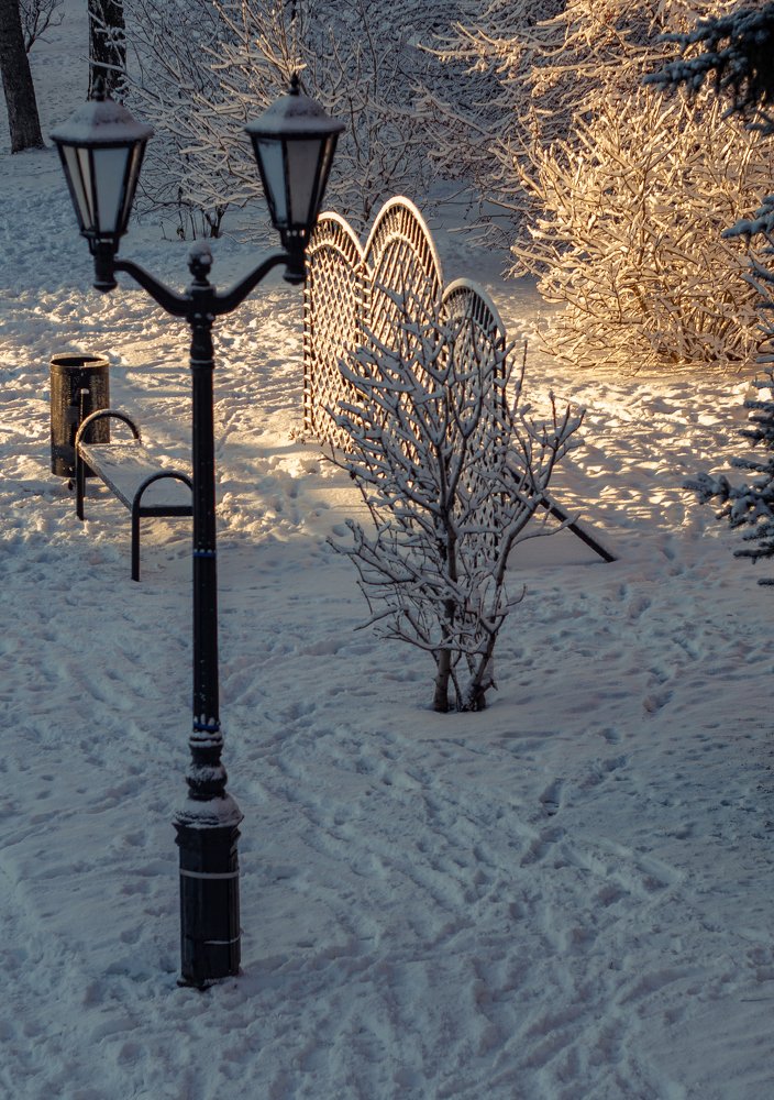 Фотография автора владимир шаронов