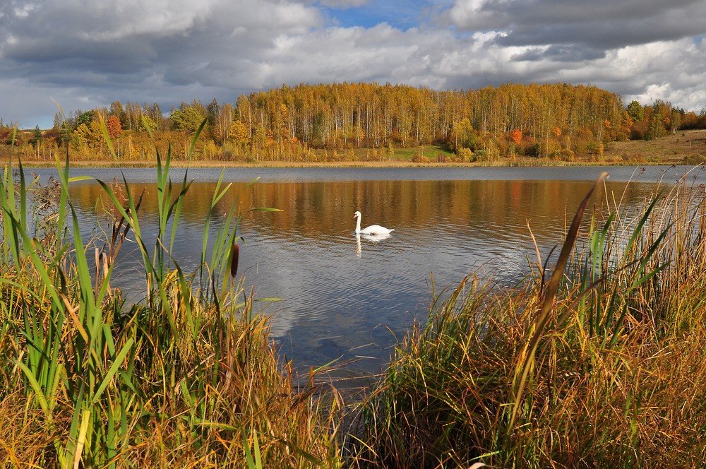 Photograph by Юрий Яковлев
