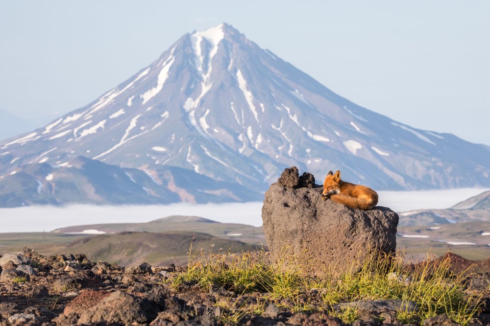 Photograph by Надежда Хаустова