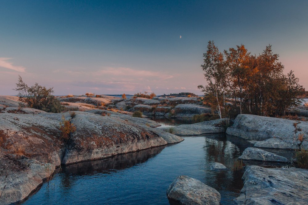 Фотография автора Алексей Новиков