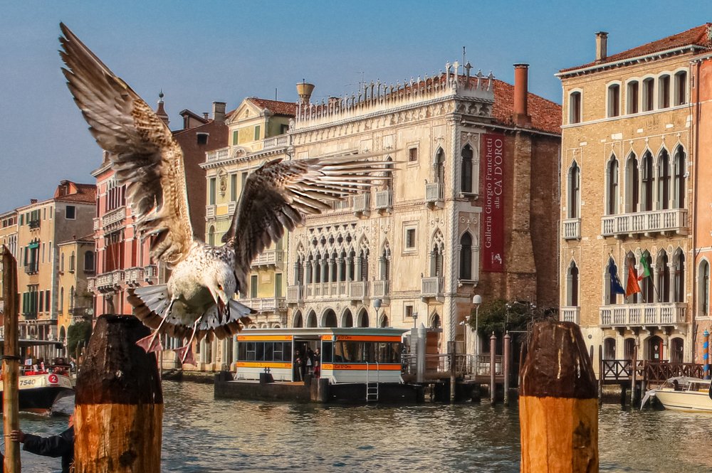 Полёт над Гранд каналом